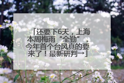 还要下6天，上海本周梅雨“全勤”，今年首个台风真的要来了！最新研判→