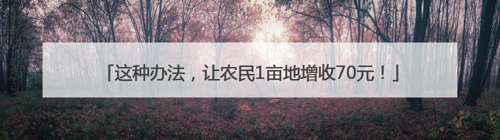 这种办法，让农民1亩地增收70元！