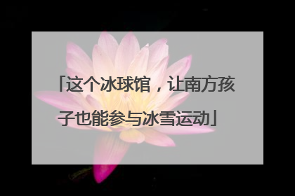 这个冰球馆，让南方孩子也能参与冰雪运动