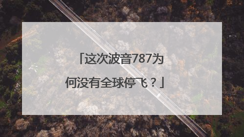 这次波音787为何没有全球停飞？