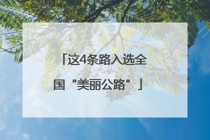 这4条路入选全国“美丽公路”