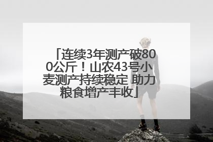 连续3年测产破800公斤！山农43号小麦测产持续稳定 助力粮食增产丰收
