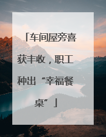 车间屋旁喜获丰收，职工种出“幸福餐桌”