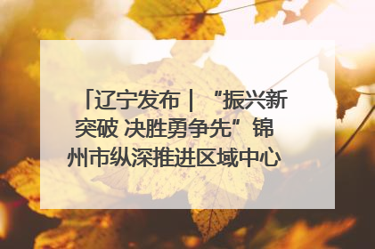 辽宁发布｜“振兴新突破 决胜勇争先”锦州市纵深推进区域中心城市建设 打造高质量发展新增长极