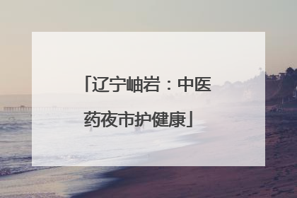 辽宁岫岩：中医药夜市护健康