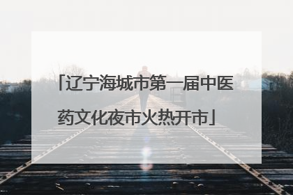 辽宁海城市第一届中医药文化夜市火热开市