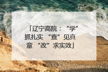 辽宁高院：“学”抓扎实 “查”见真章 “改”求实效
