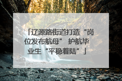 辽源路街道打造“岗位发布航母” 护航毕业生“平稳着陆”
