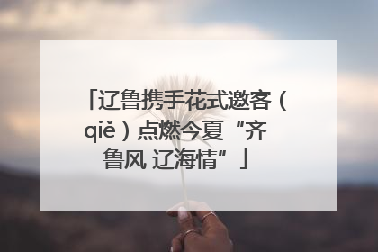辽鲁携手花式邀客（qiě）点燃今夏“齐鲁风 辽海情”