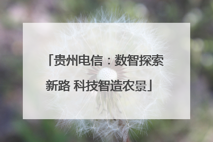 贵州电信：数智探索新路 科技智造农景