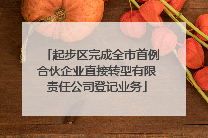 起步区完成全市首例合伙企业直接转型有限责任公司登记业务
