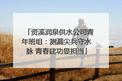资溪润泉供水公司青年班组：测漏尖兵守水脉 青春建功显担当
