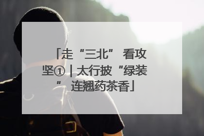 走“三北” 看攻坚①｜太行披“绿装” 连翘药茶香