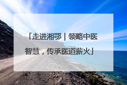 走进湘鄂｜领略中医智慧，传承医道薪火