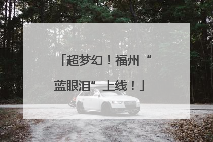 超梦幻！福州“蓝眼泪”上线！