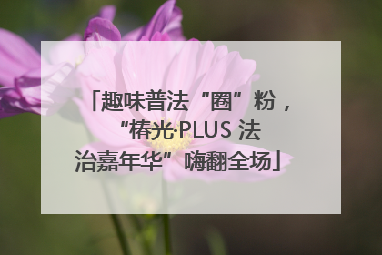 趣味普法“圈”粉，“椿光·PLUS 法治嘉年华”嗨翻全场