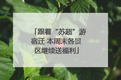 跟着“苏超”游宿迁 本周末各景区继续送福利