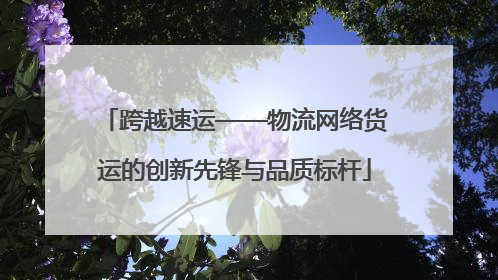 跨越速运——物流网络货运的创新先锋与品质标杆