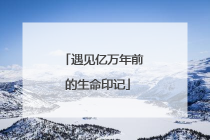 遇见亿万年前的生命印记