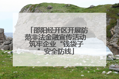 邵阳经开区开展防范非法金融宣传活动 筑牢企业“钱袋子”安全防线