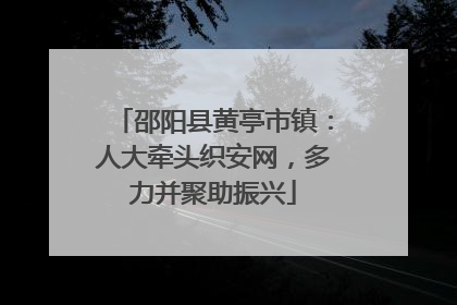 邵阳县黄亭市镇：人大牵头织安网，多力并聚助振兴