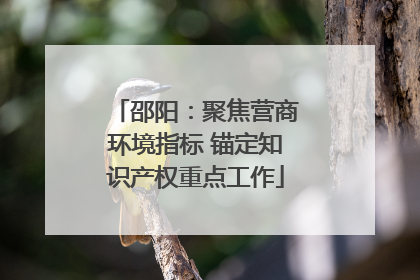 邵阳：聚焦营商环境指标 锚定知识产权重点工作