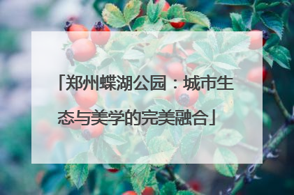 郑州蝶湖公园：城市生态与美学的完美融合