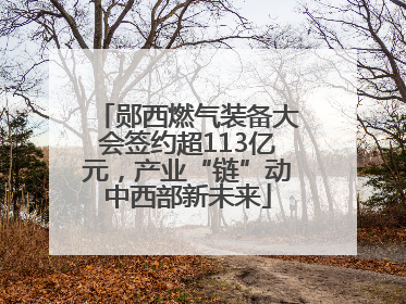 郧西燃气装备大会签约超113亿元，产业“链”动中西部新未来