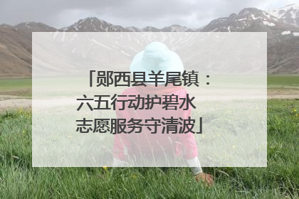 郧西县羊尾镇：六五行动护碧水 志愿服务守清波
