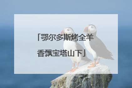 鄂尔多斯烤全羊香飘宝塔山下