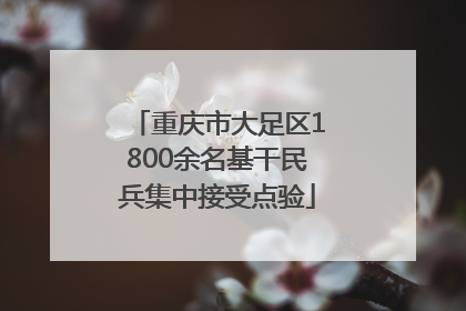 重庆市大足区1800余名基干民兵集中接受点验