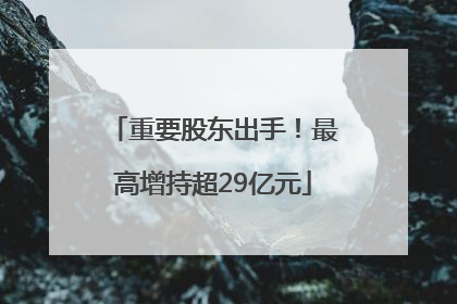 重要股东出手！最高增持超29亿元