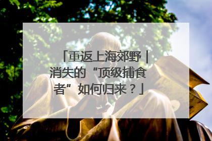 重返上海郊野｜消失的“顶级捕食者”如何归来？