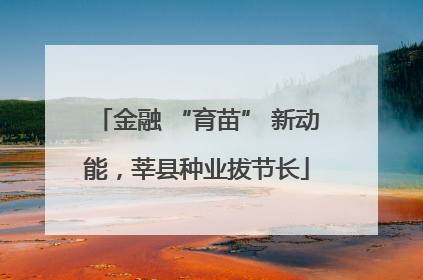 金融 “育苗” 新动能，莘县种业拔节长