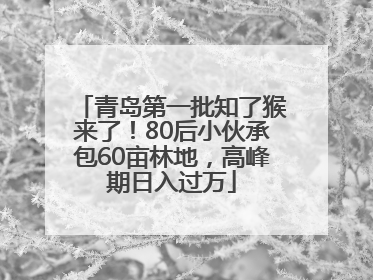 青岛第一批知了猴来了！80后小伙承包60亩林地，高峰期日入过万