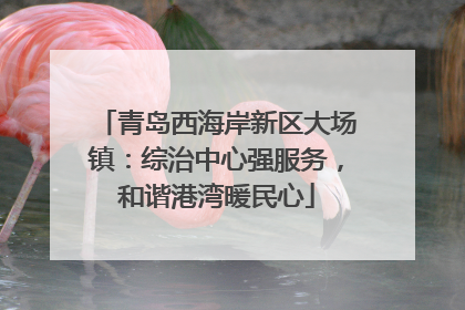 青岛西海岸新区大场镇：综治中心强服务，和谐港湾暖民心