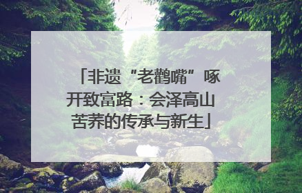非遗“老鹳嘴”啄开致富路：会泽高山苦荞的传承与新生