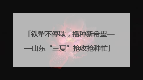 铁犁不停歇，播种新希望——山东“三夏”抢收抢种忙