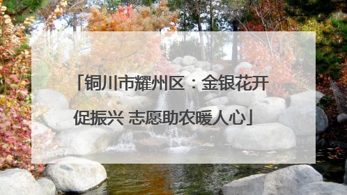 铜川市耀州区：金银花开促振兴 志愿助农暖人心