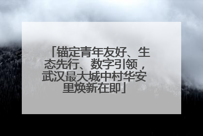 锚定青年友好、生态先行、数字引领，武汉最大城中村华安里焕新在即