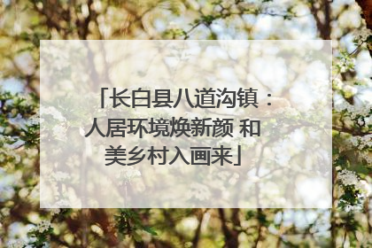 长白县八道沟镇：人居环境焕新颜 和美乡村入画来