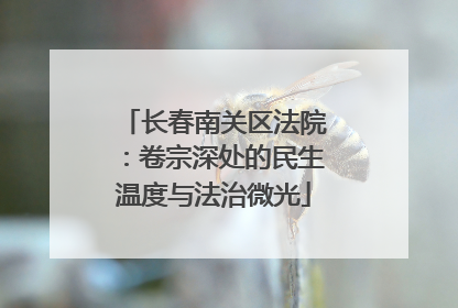 长春南关区法院：卷宗深处的民生温度与法治微光