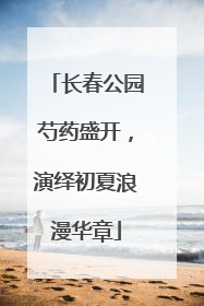 长春公园芍药盛开，演绎初夏浪漫华章