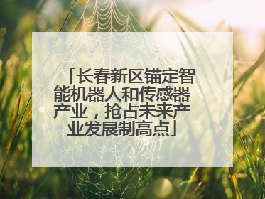 长春新区锚定智能机器人和传感器产业，抢占未来产业发展制高点