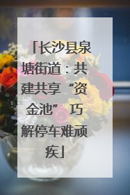 长沙县泉塘街道：共建共享“资金池” 巧解停车难顽疾