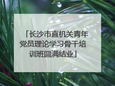 长沙市直机关青年党员理论学习骨干培训班圆满结业