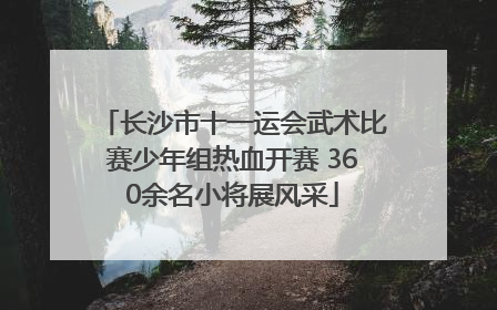 长沙市十一运会武术比赛少年组热血开赛 360余名小将展风采