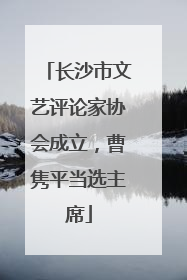 长沙市文艺评论家协会成立，曹隽平当选主席
