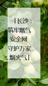 长沙：筑牢燃气安全网 守护万家烟火气