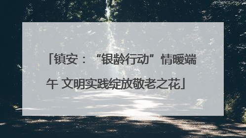 镇安：“银龄行动”情暖端午 文明实践绽放敬老之花